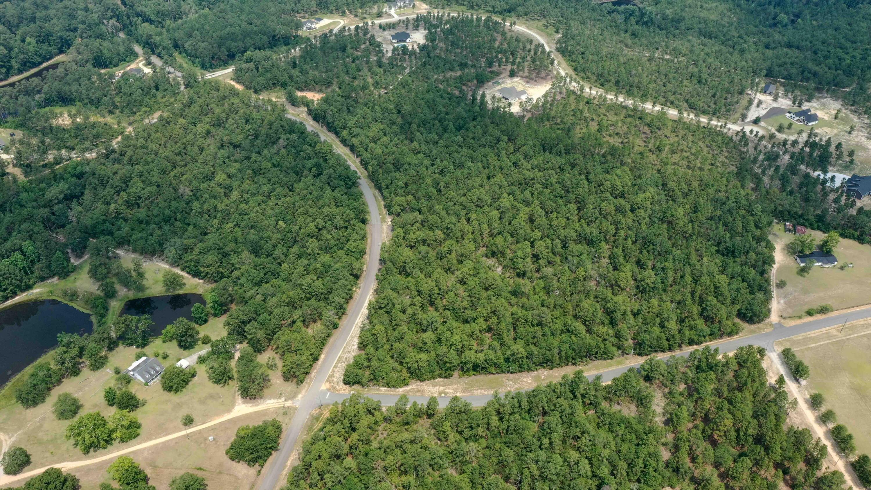 7 Mt Zion Road Williston, SC 29853 - Photo 13 of 15