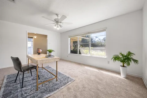a living room with furniture and a potted plant