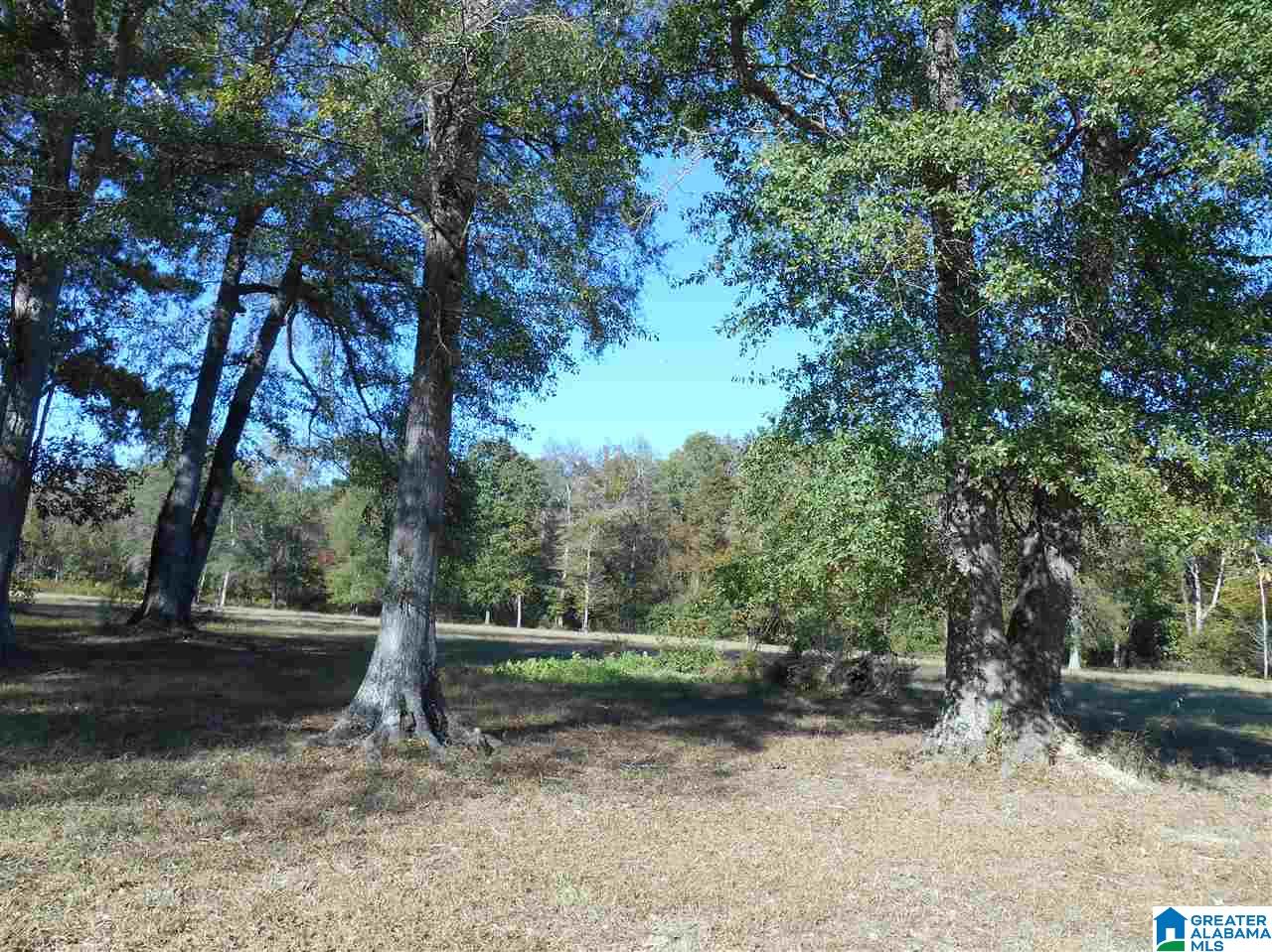 6429 County Road 39 Chelsea, AL 35043 - Photo 1 of 5