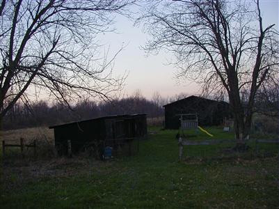 1996 Bethlehem Road Paris, KY 40361 - Photo 4 of 8 Barn and run-in shed