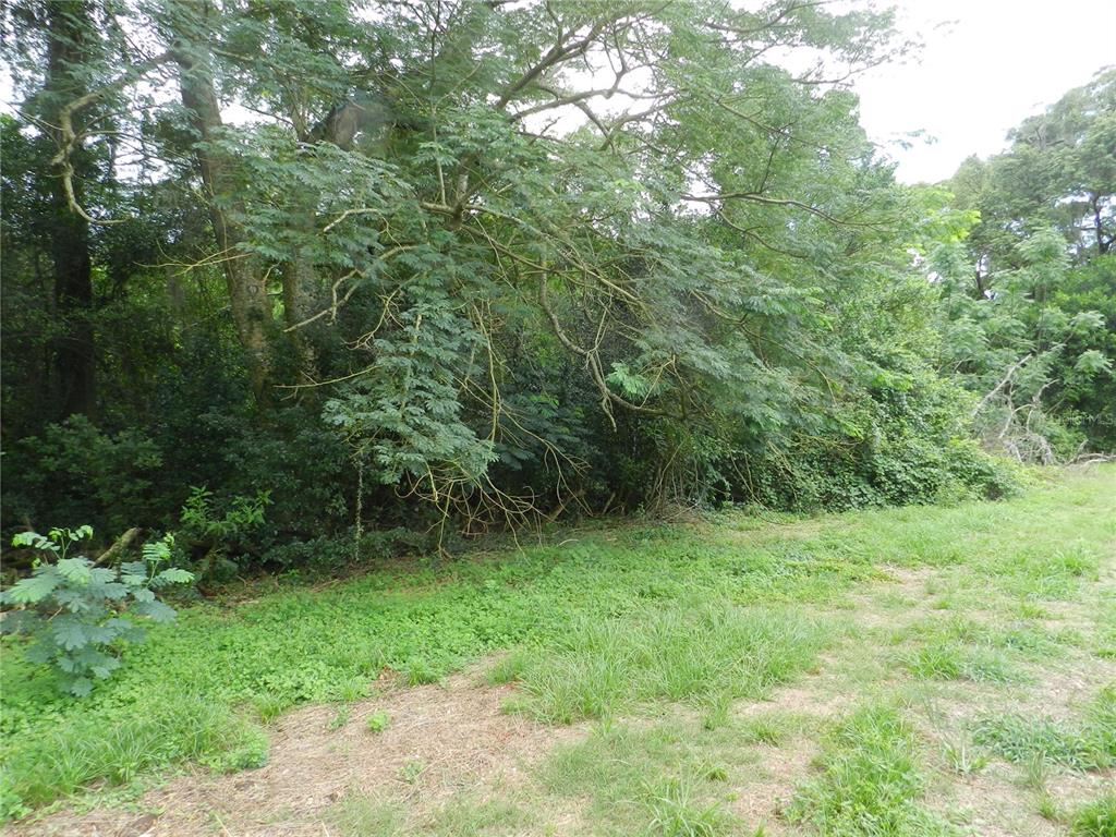 Tipton Road Dade City, FL 33523 - Photo 1 of 1