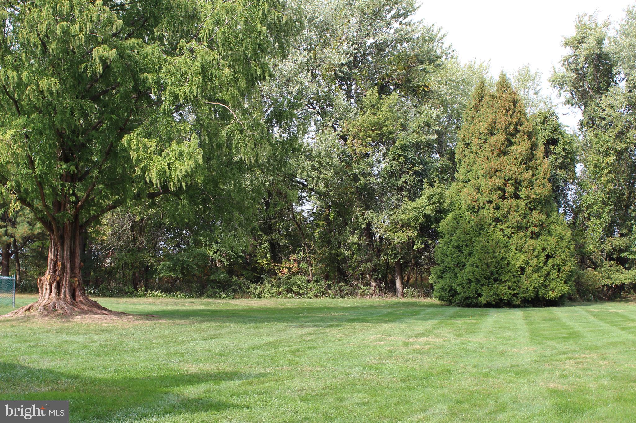 35 Kelinger Road Churchville, PA 18966 - Photo 31 of 31 View Of The Back Yard