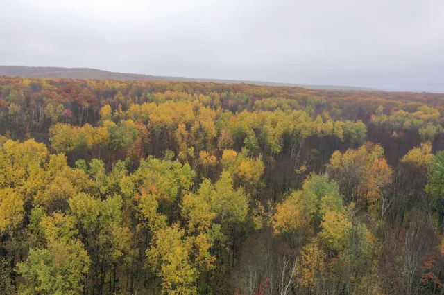 $400,000 | 16-xxx West County Road O, Weyerhaeuser, WI 54895