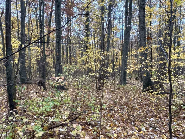 $400,000 | 16-xxx West County Road O, Weyerhaeuser, WI 54895