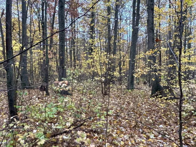 $400,000 | 16-xxx West County Road O, Weyerhaeuser, WI 54895