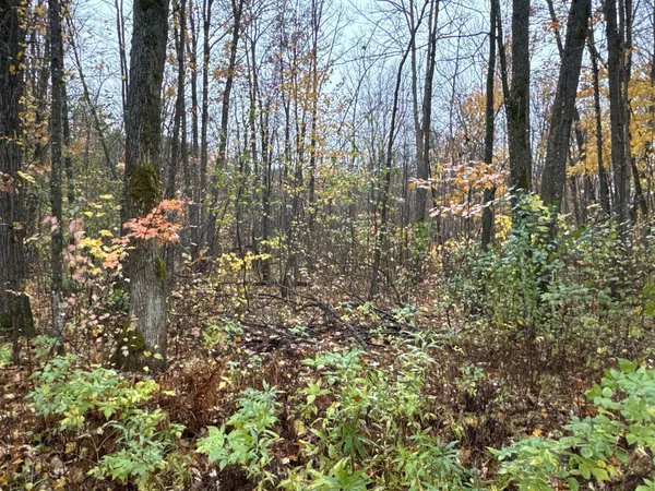 $400,000 | 16-xxx West County Road O, Weyerhaeuser, WI 54895