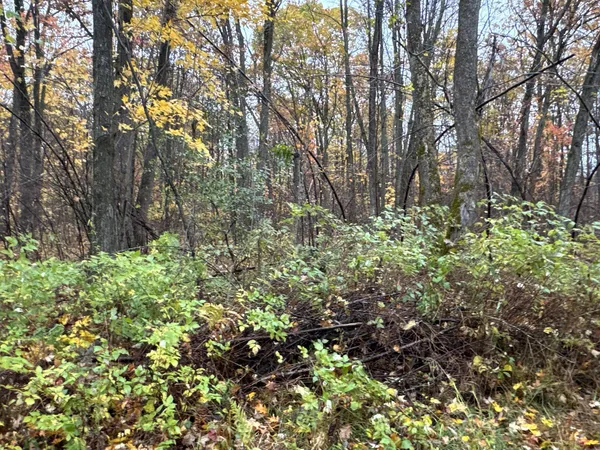 $400,000 | 16-xxx West County Road O, Weyerhaeuser, WI 54895