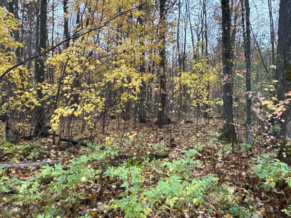 $400,000 | 16-xxx West County Road O, Weyerhaeuser, WI 54895