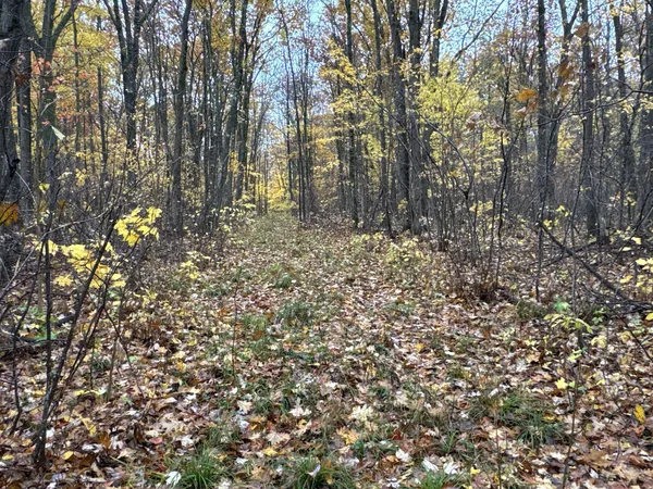 $400,000 | 16-xxx West County Road O, Weyerhaeuser, WI 54895