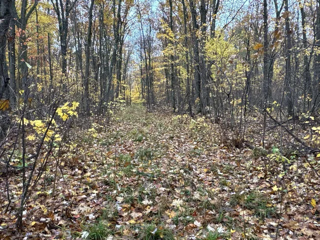 $400,000 | 16-xxx West County Road O, Weyerhaeuser, WI 54895