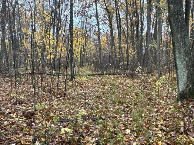 $400,000 | 16-xxx West County Road O, Weyerhaeuser, WI 54895