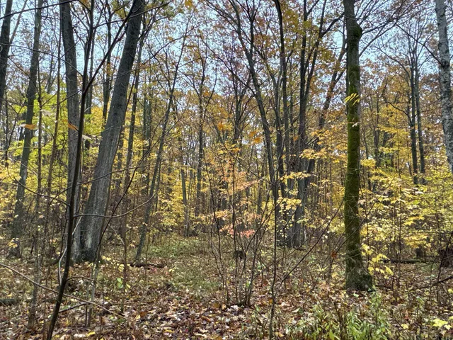 $400,000 | 16-xxx West County Road O, Weyerhaeuser, WI 54895