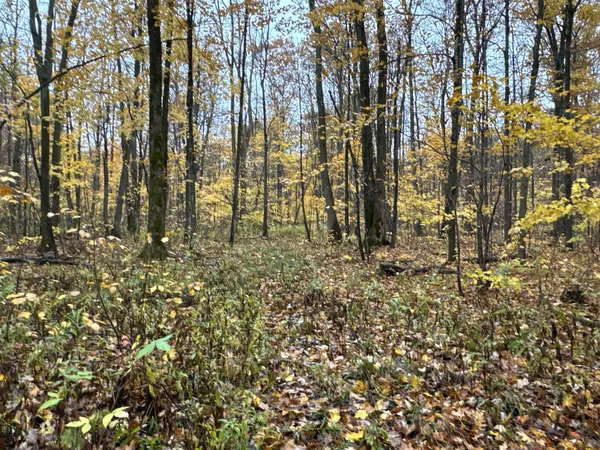 $400,000 | 16-xxx West County Road O, Weyerhaeuser, WI 54895