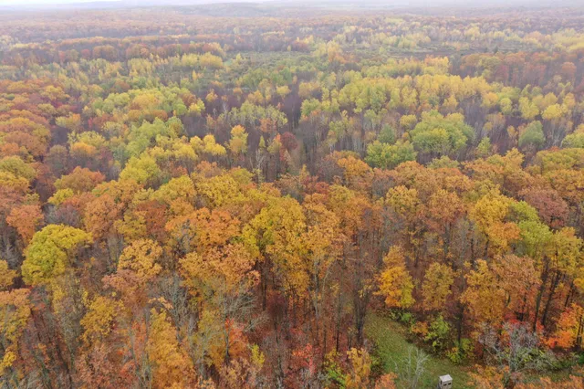 $400,000 | 16-xxx West County Road O, Weyerhaeuser, WI 54895