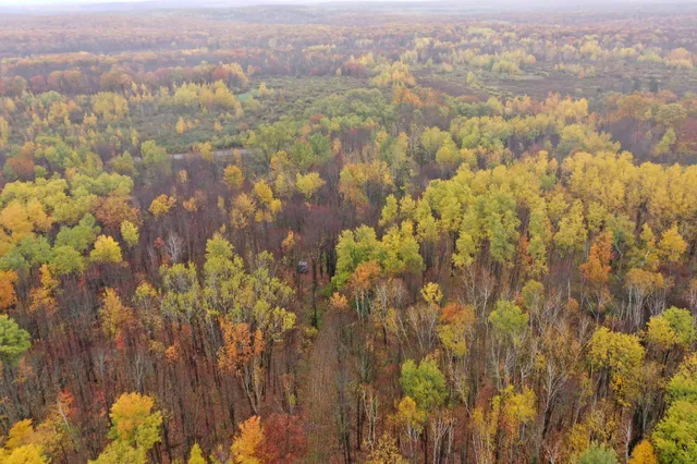 $400,000 | 16-xxx West County Road O, Weyerhaeuser, WI 54895