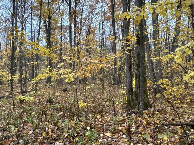 $400,000 | 16-xxx West County Road O, Weyerhaeuser, WI 54895