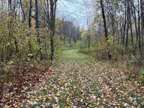 $400,000 | 16-xxx West County Road O, Weyerhaeuser, WI 54895