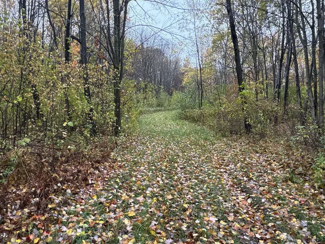 $400,000 | 16-xxx West County Road O, Weyerhaeuser, WI 54895