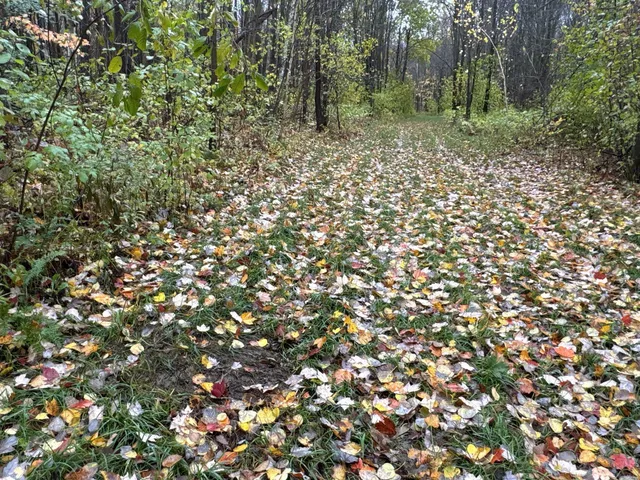 $400,000 | 16-xxx West County Road O, Weyerhaeuser, WI 54895