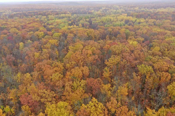 $400,000 | 16-xxx West County Road O, Weyerhaeuser, WI 54895