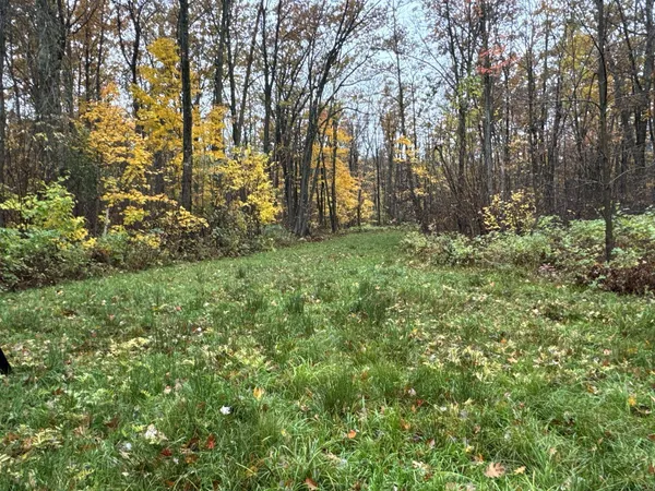 $400,000 | 16-xxx West County Road O, Weyerhaeuser, WI 54895