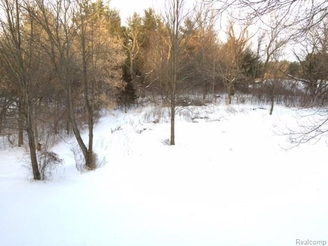 6084 Faussett Road Howell, MI 48855 - Photo 12 of 13 yard 2.jpg