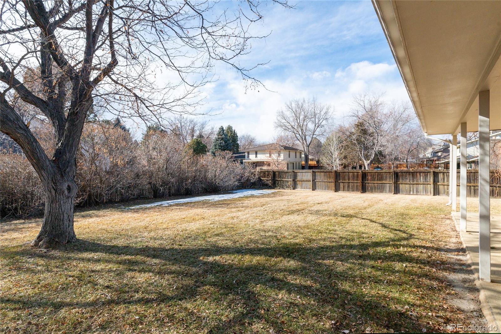 3605 South Oneida Way Denver, CO 80237 - Photo 16 of 24 a view of yard with tree in front of it