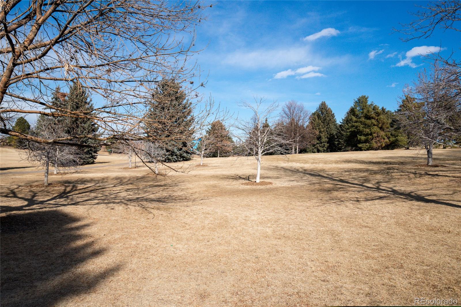 3605 South Oneida Way Denver, CO 80237 - Photo 24 of 24 a view of a snow on the side of the road