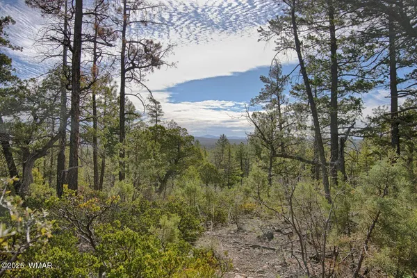 $1,075,330 | 3350 West Rim Road, Unit 1, Lakeside, AZ 85929