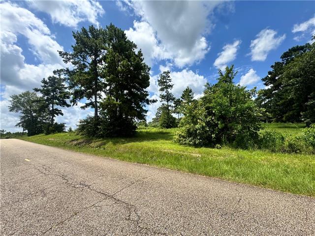 72045 South Lewiston Road Kentwood, LA 70444 - Photo 16 of 17