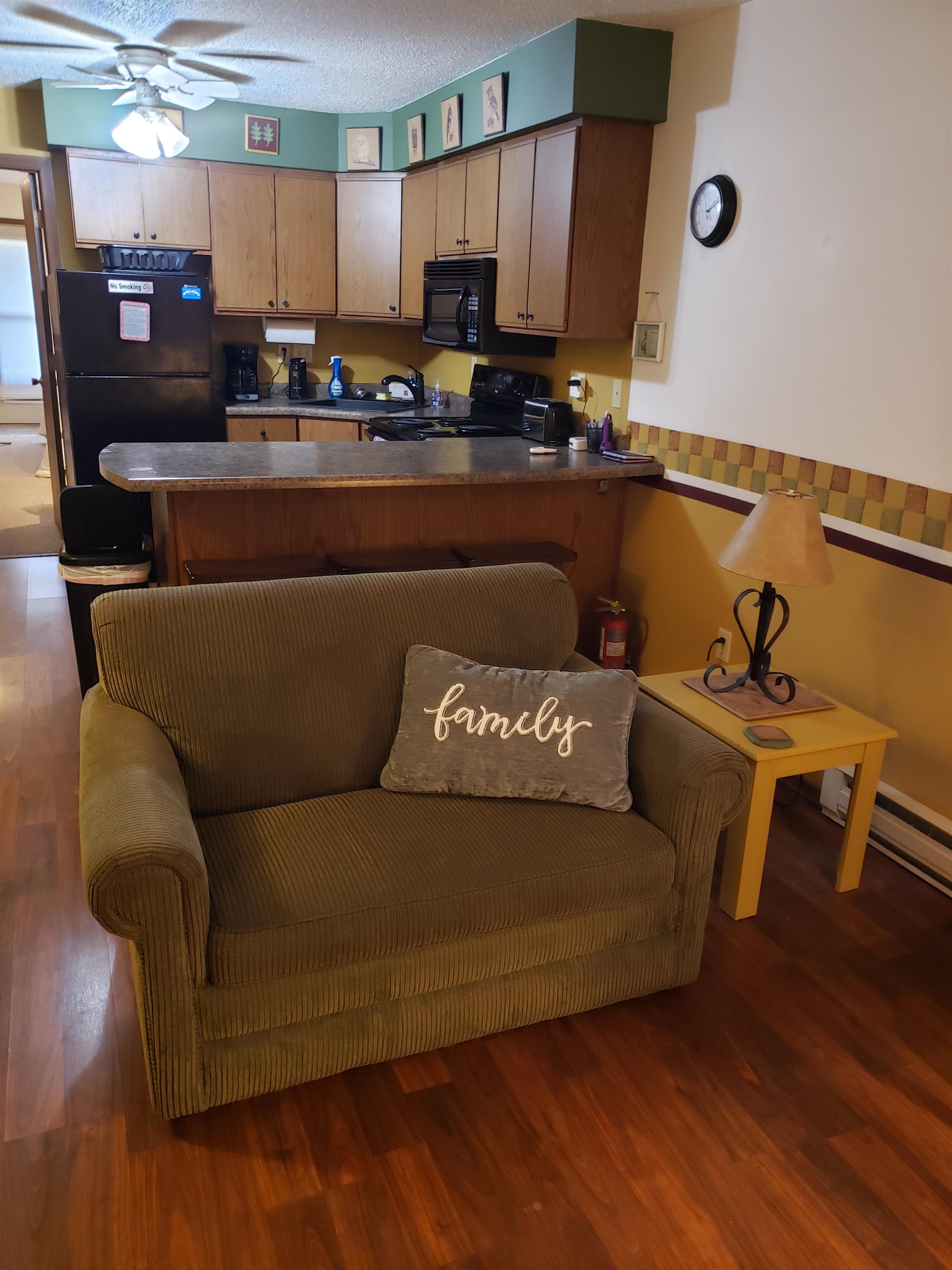 1093 Canyon Road, Unit 207 Wisconsin Dells, WI 53965 - Photo 5 of 18 Gallery Image 5