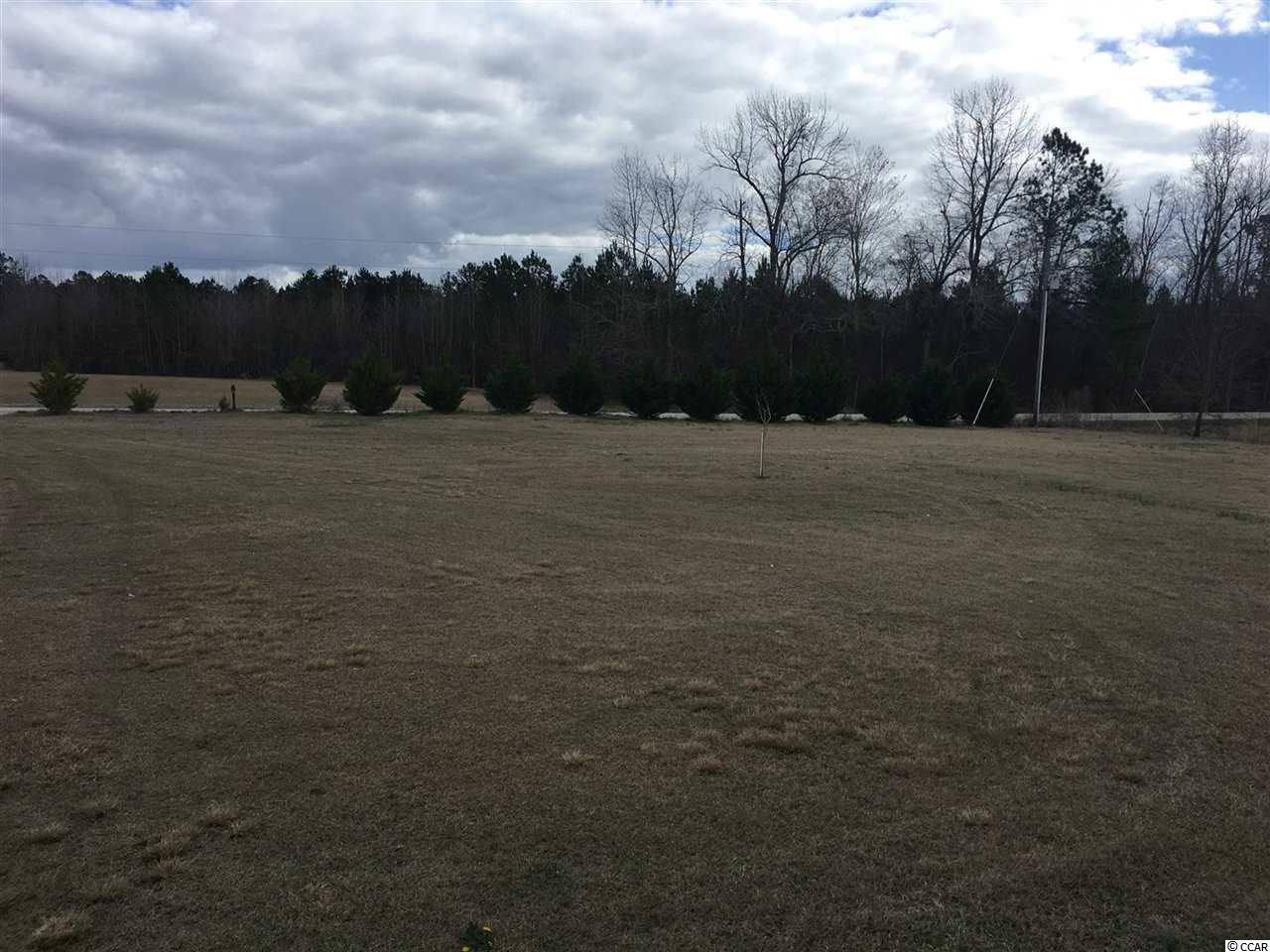 2603 Church Road Green Sea, SC 29545 - Photo 34 of 37 Gallery Image 34