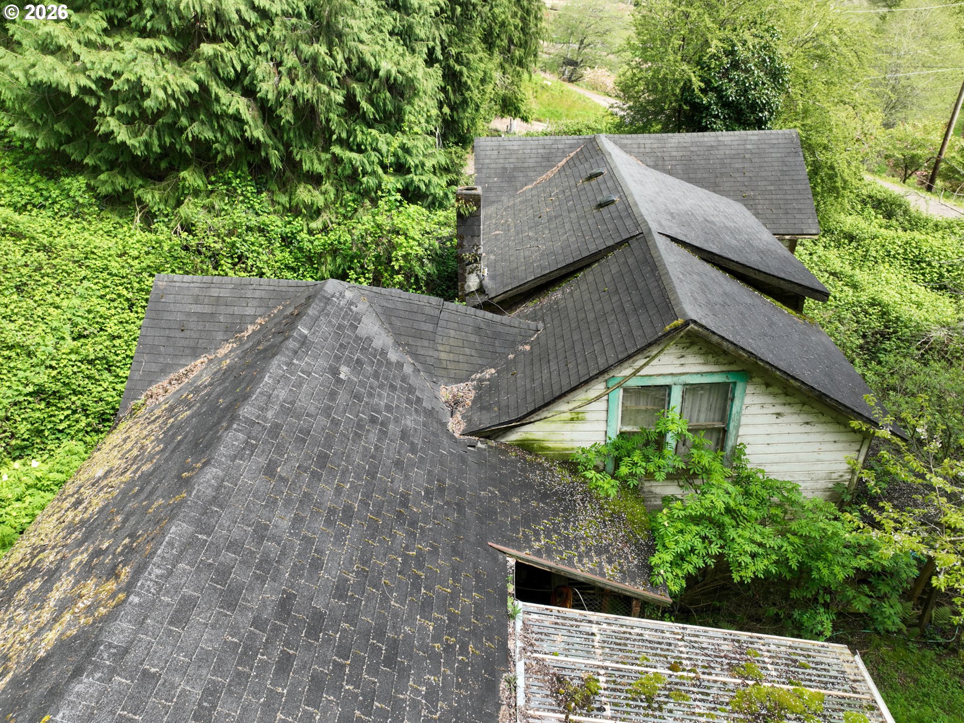 9150 Kilchis River Road Tillamook, OR 97141 - Photo 11 of 20 aerial view of a house with a yard and large trees