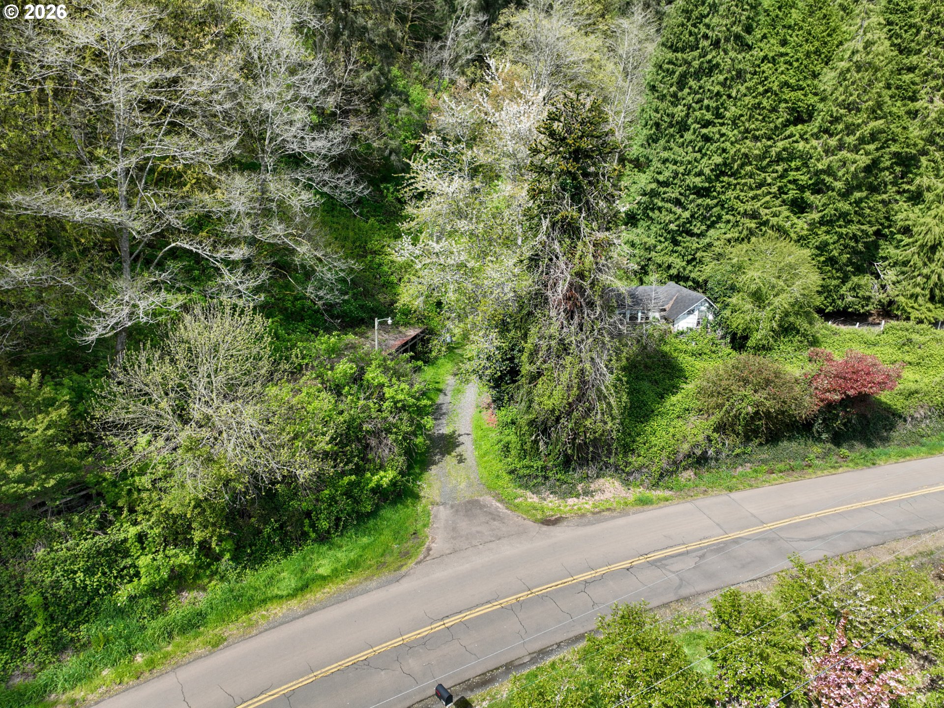 9150 Kilchis River Road Tillamook, OR 97141 - Photo 14 of 20 a view of a garden