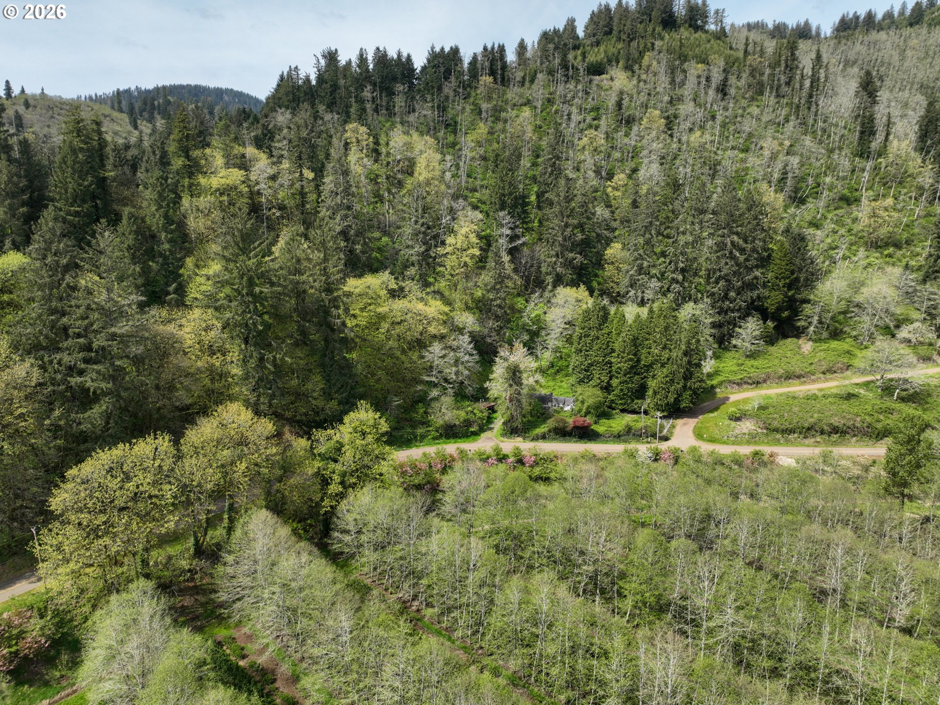 9150 Kilchis River Road Tillamook, OR 97141 - Photo 16 of 20 a view of a lush green forest with trees and houses