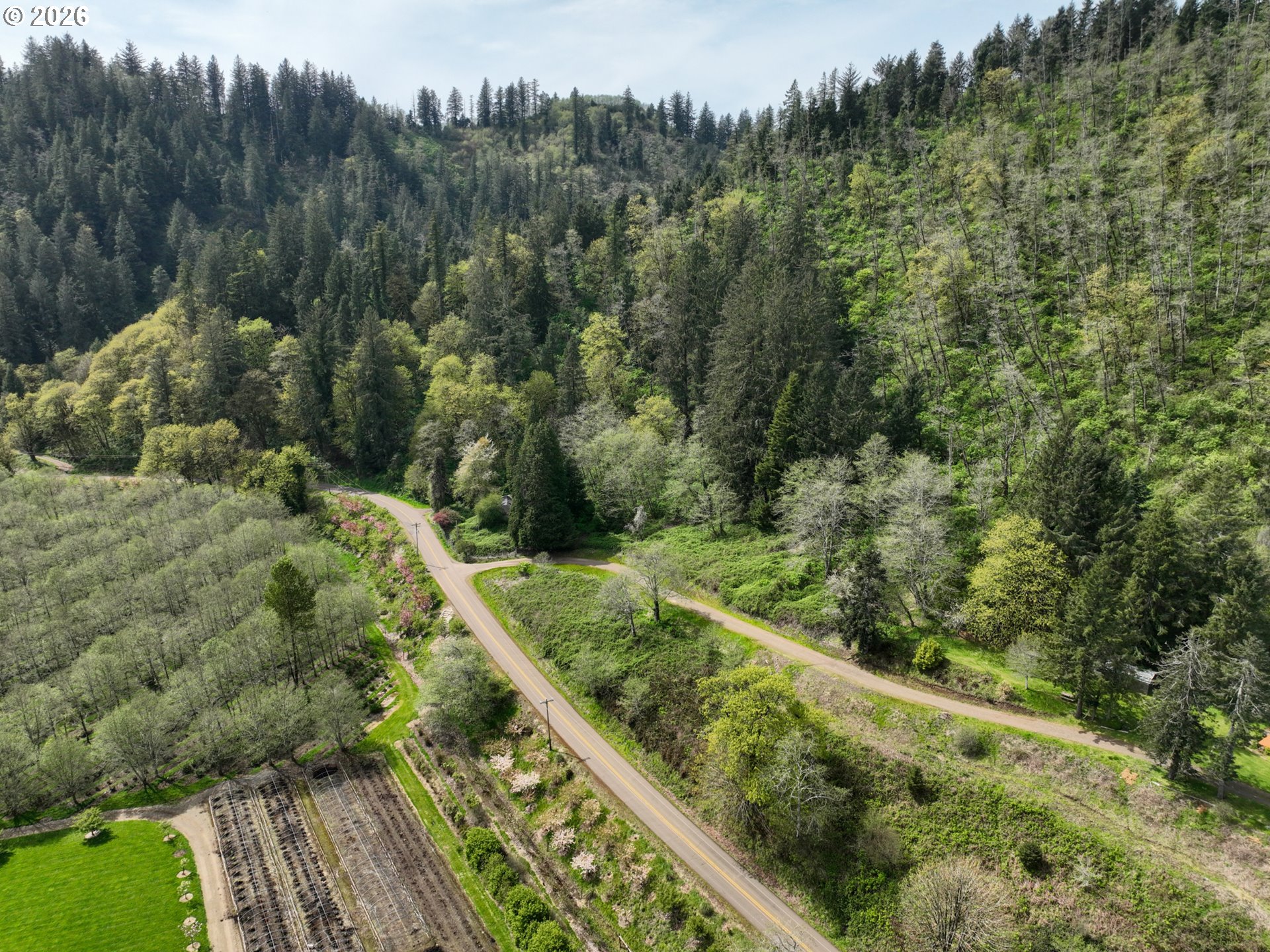 9150 Kilchis River Road Tillamook, OR 97141 - Photo 18 of 20 a view of a forest with a forest