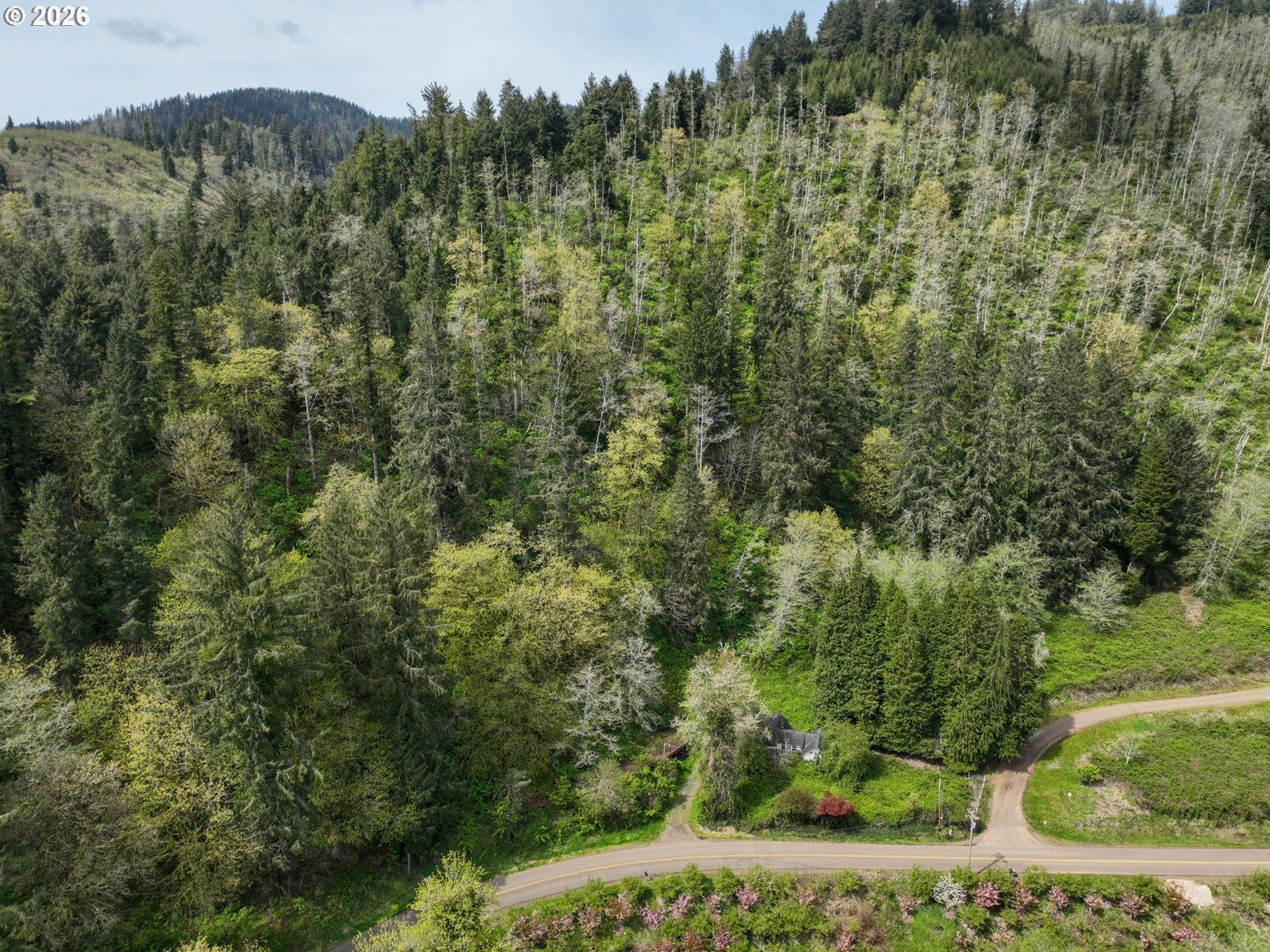 9150 Kilchis River Road Tillamook, OR 97141 - Photo 19 of 20 a view of a forest with a street