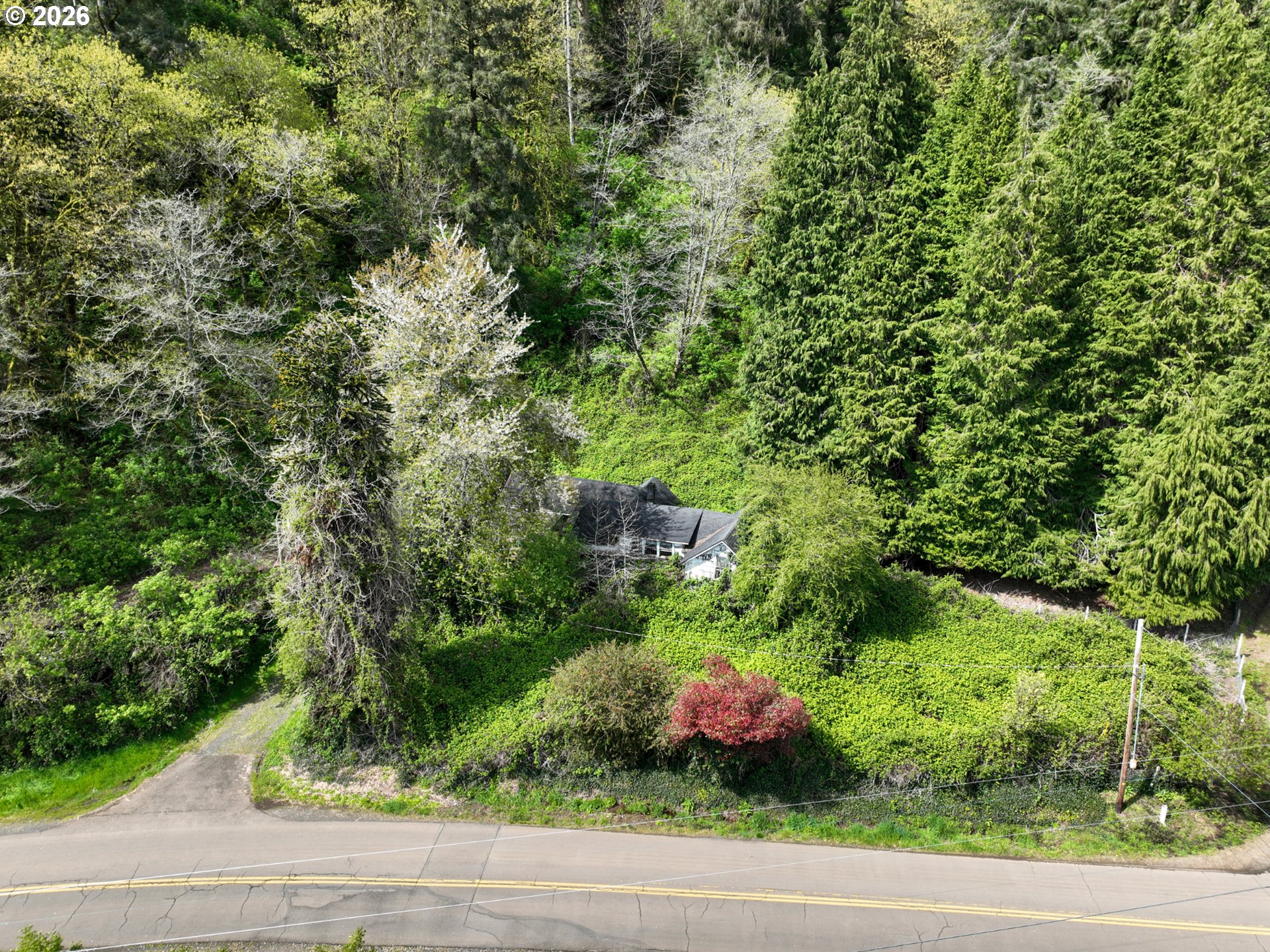 9150 Kilchis River Road Tillamook, OR 97141 - Photo 2 of 20 a view of a garden with a plants