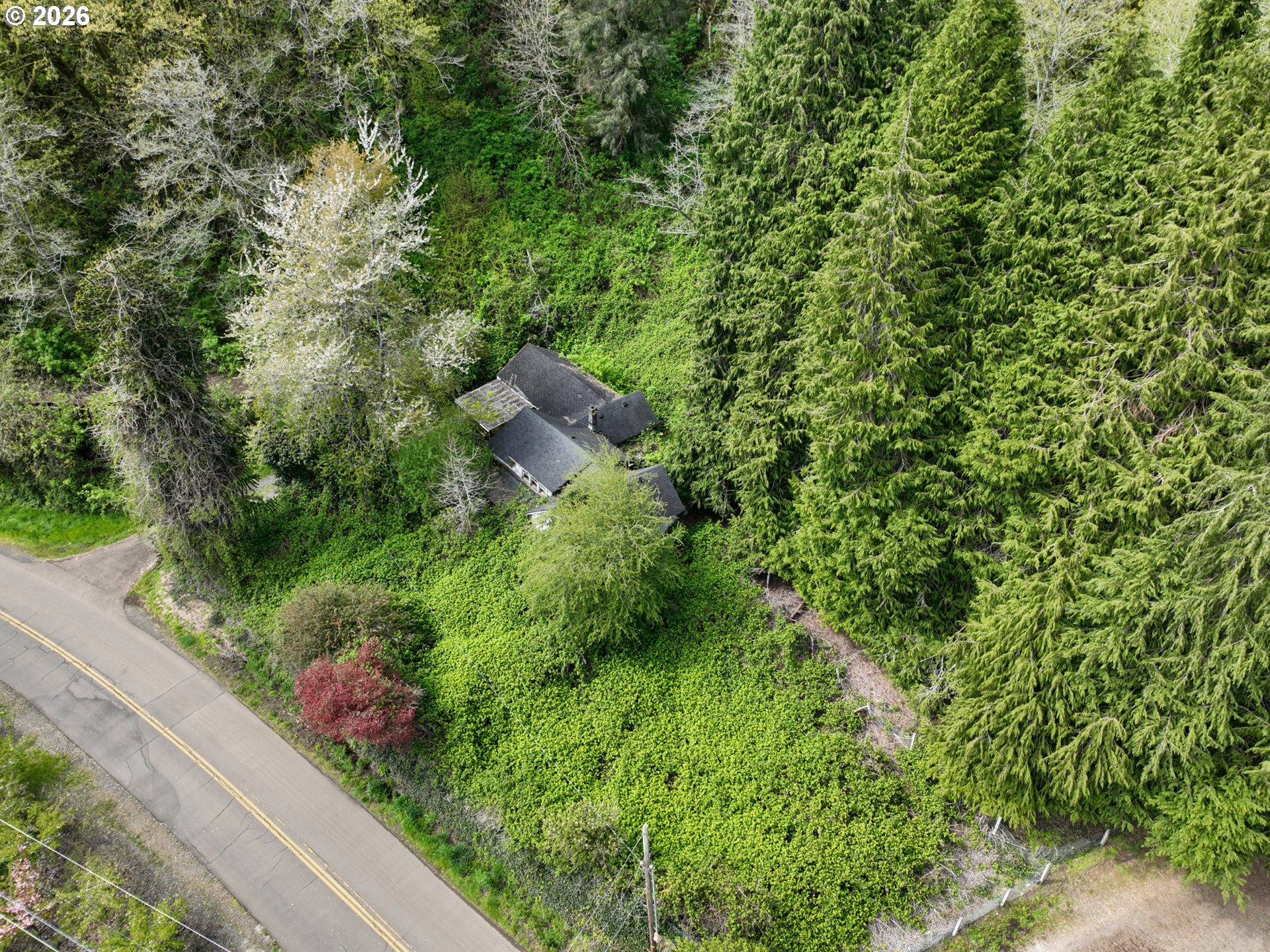 9150 Kilchis River Road Tillamook, OR 97141 - Photo 3 of 20 a view of a garden