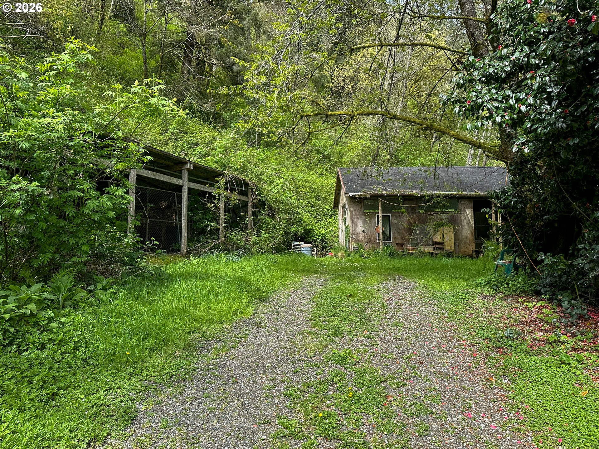 9150 Kilchis River Road Tillamook, OR 97141 - Photo 4 of 20 a backyard of a house with plants and large tree