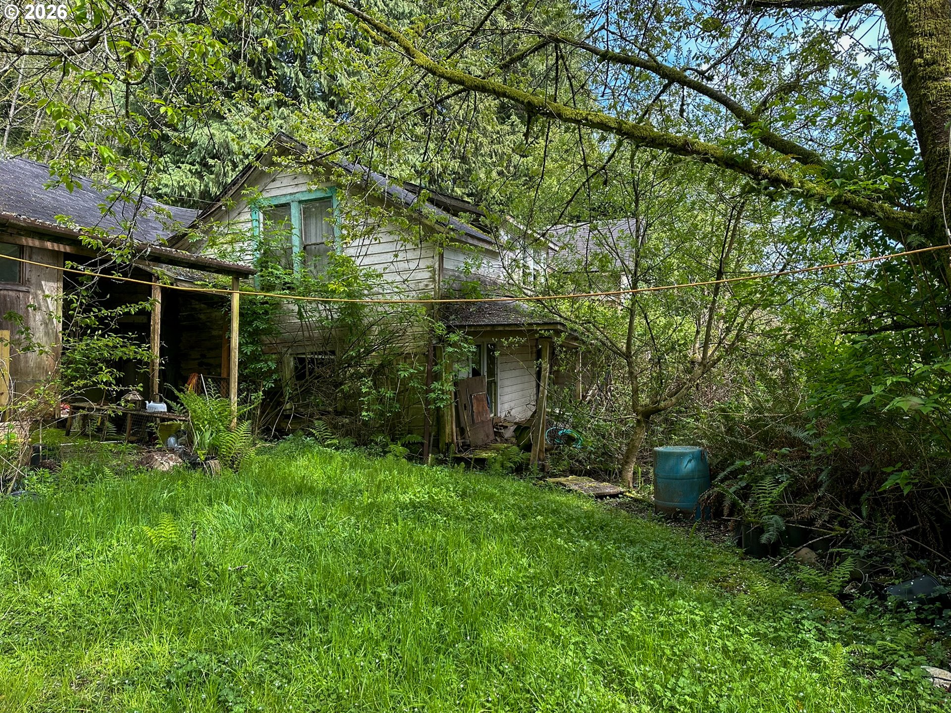9150 Kilchis River Road Tillamook, OR 97141 - Photo 5 of 20 a view of a yard in front of house