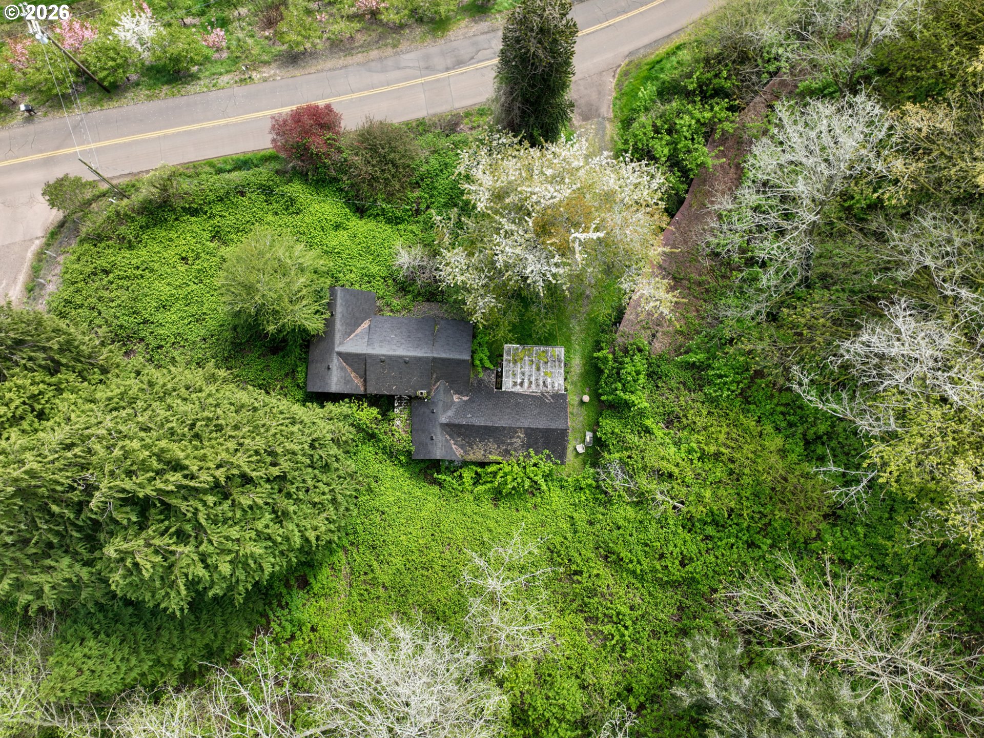 9150 Kilchis River Road Tillamook, OR 97141 - Photo 8 of 20 an aerial view of a house with a yard