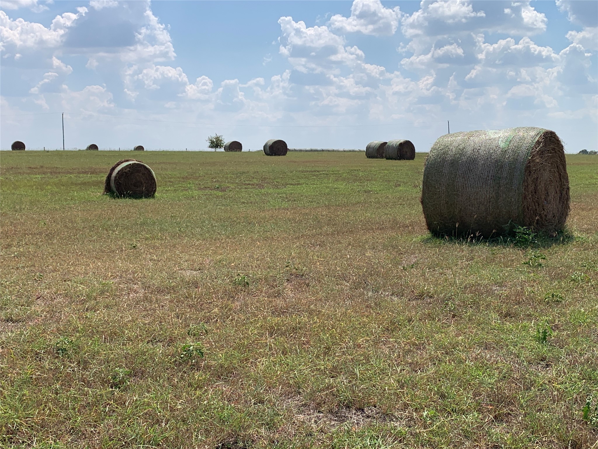 11441 Mazoch Road Weimar, TX 78962 - Photo 11 of 31