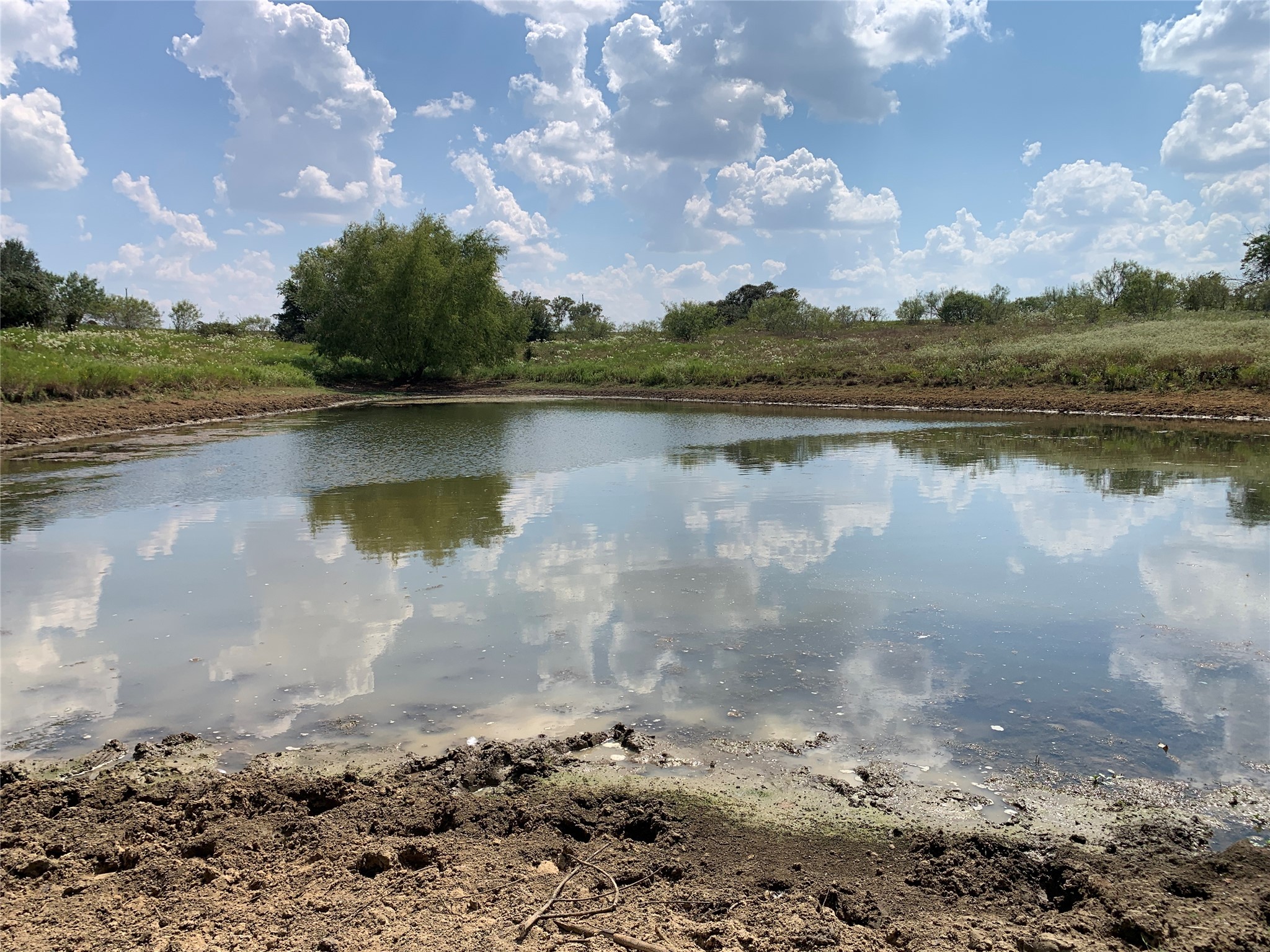 11441 Mazoch Road Weimar, TX 78962 - Photo 18 of 31