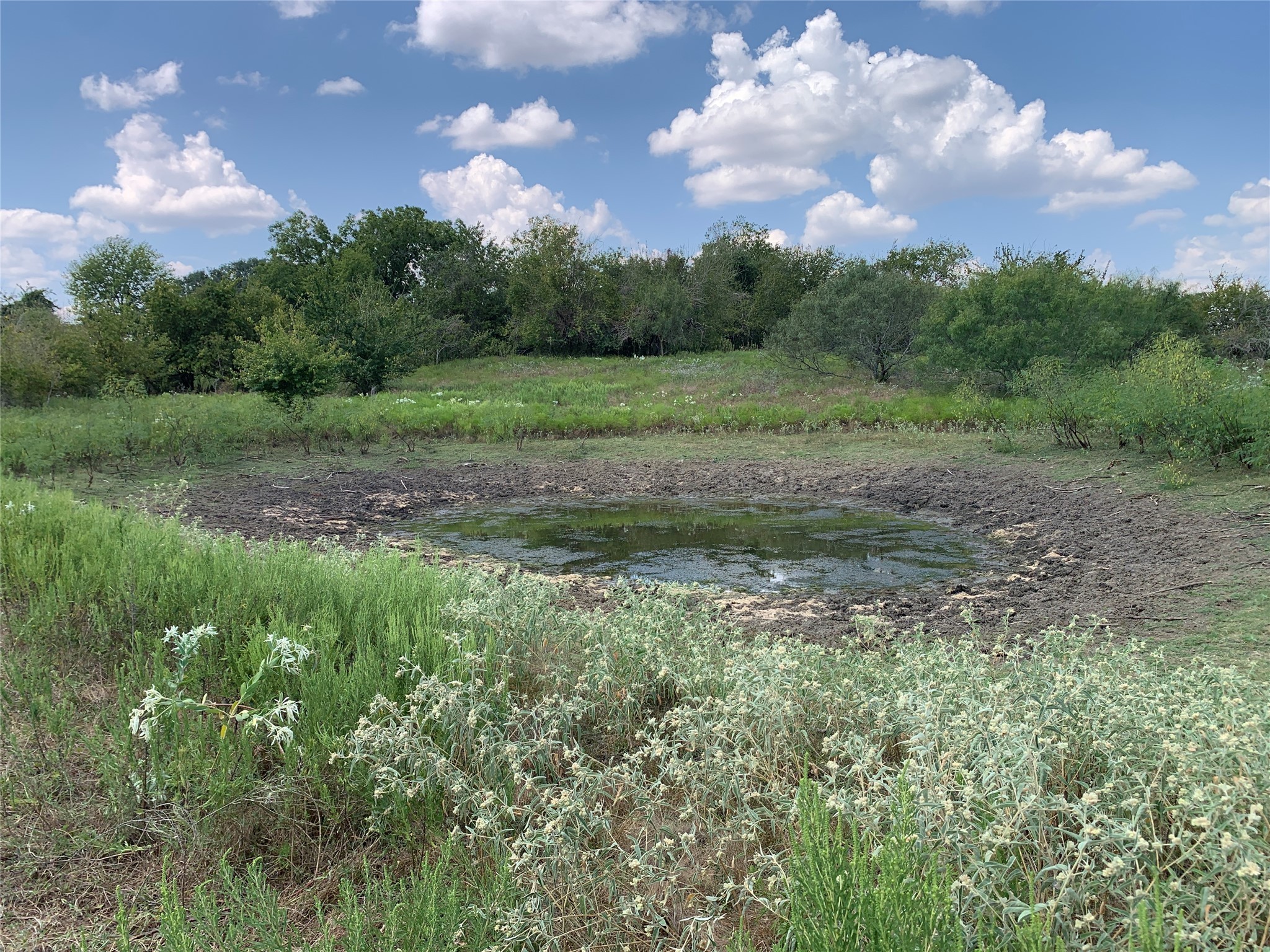 11441 Mazoch Road Weimar, TX 78962 - Photo 19 of 31