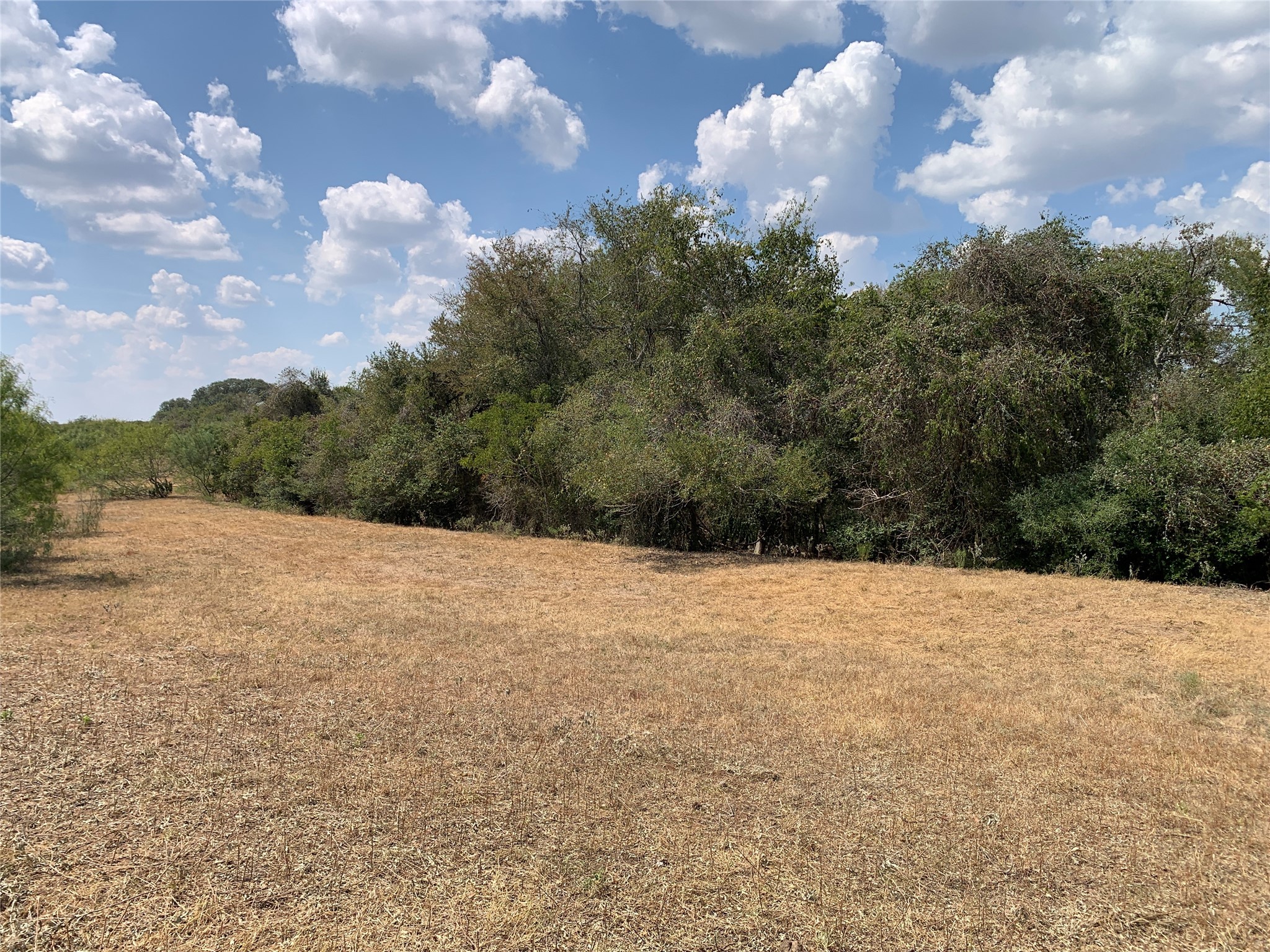 11441 Mazoch Road Weimar, TX 78962 - Photo 22 of 31