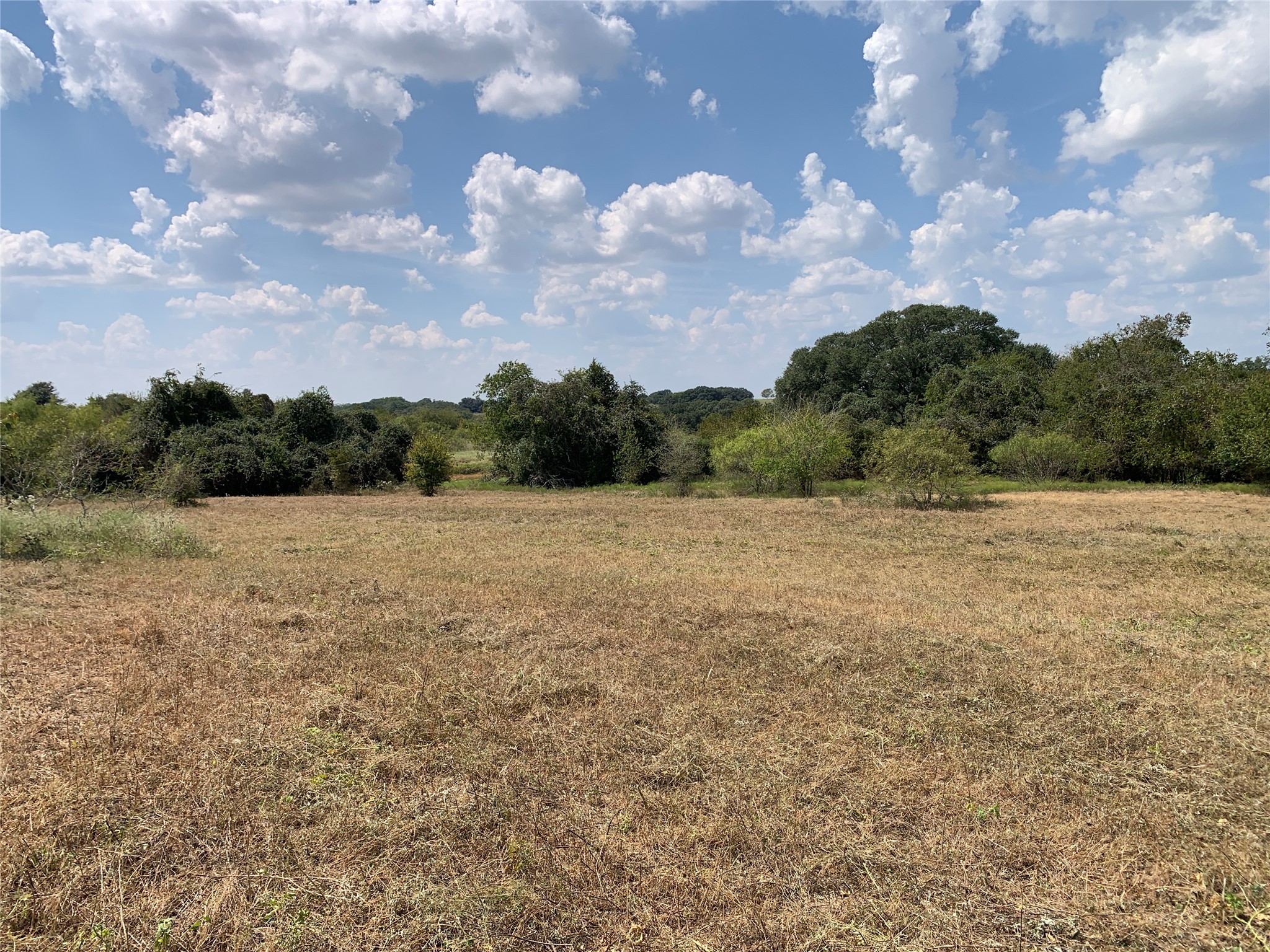 11441 Mazoch Road Weimar, TX 78962 - Photo 24 of 31