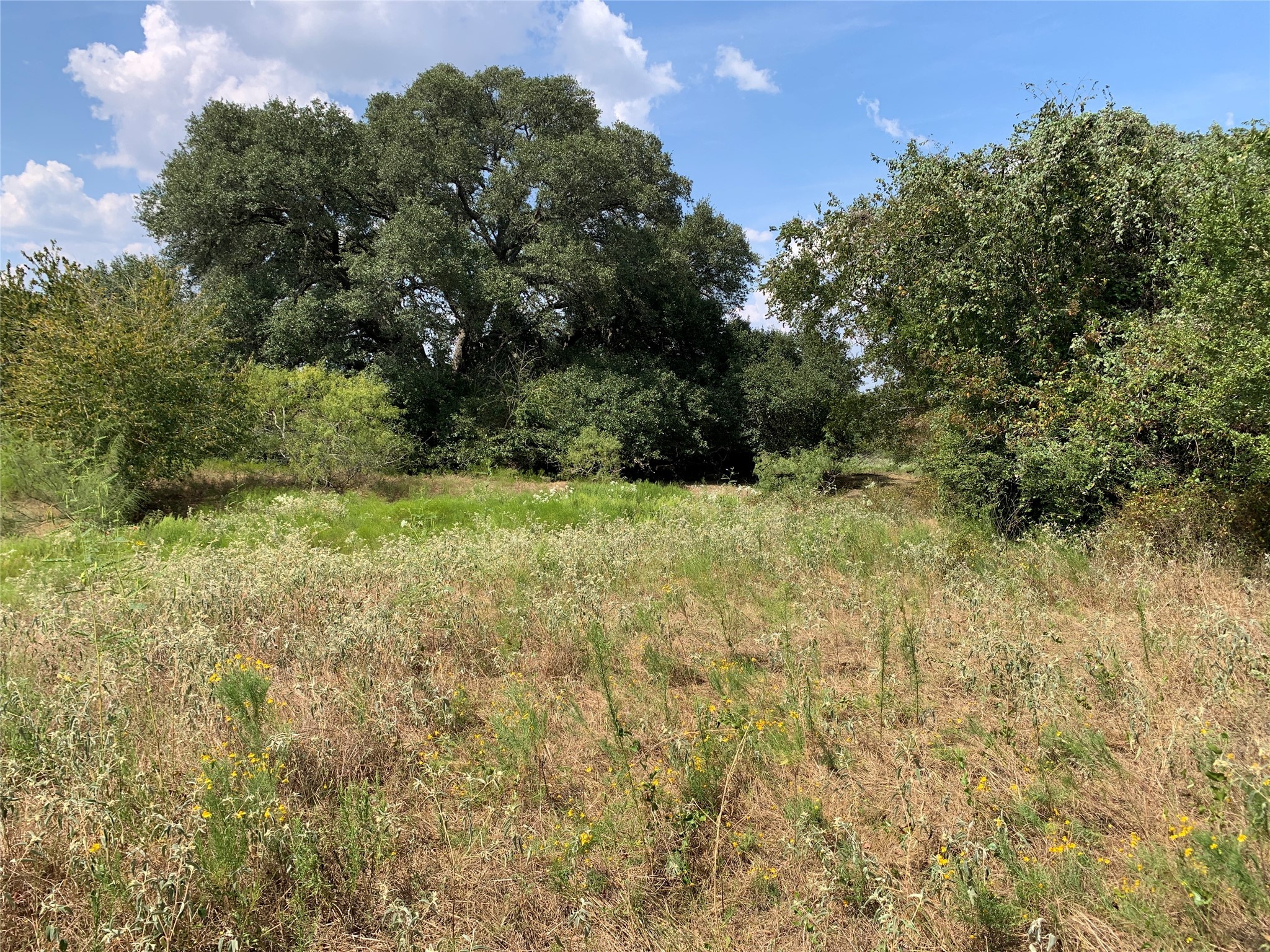 11441 Mazoch Road Weimar, TX 78962 - Photo 25 of 31