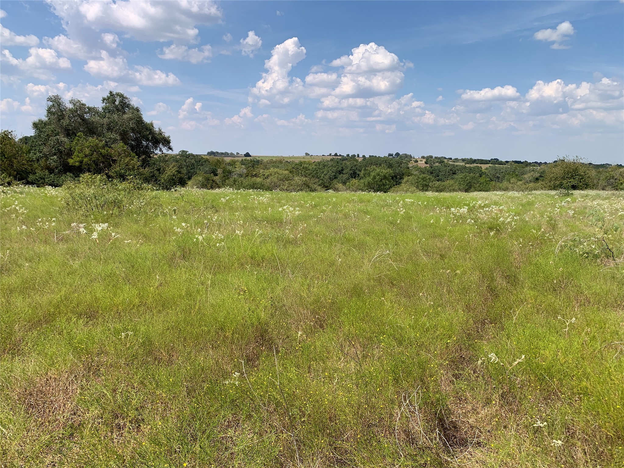 11441 Mazoch Road Weimar, TX 78962 - Photo 28 of 31
