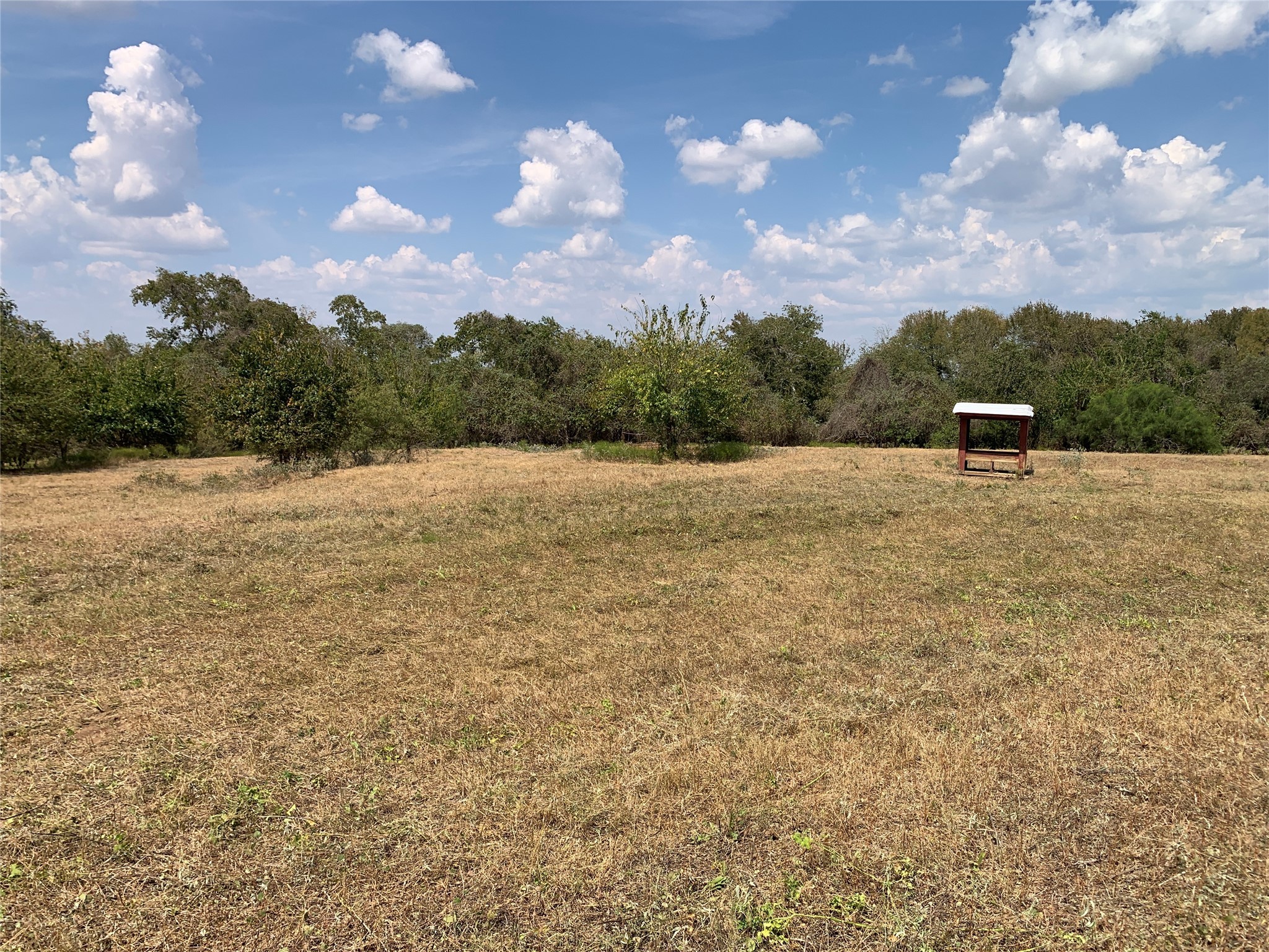 11441 Mazoch Road Weimar, TX 78962 - Photo 8 of 31